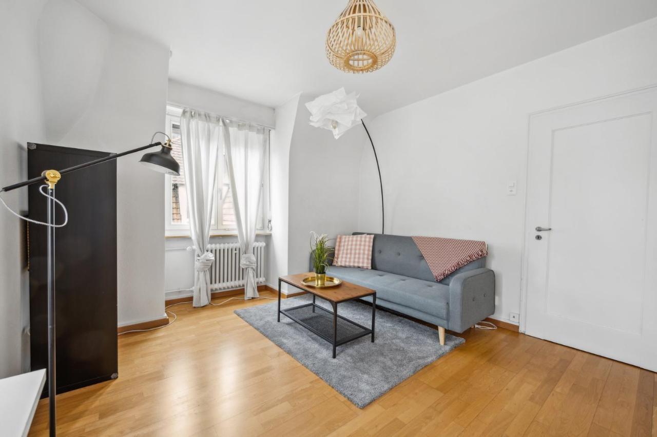 Cozy Apartment In The Heard Of Zurich Sonnegg 외부 사진